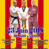 Stage des 3 Maîtres (Le retour)
